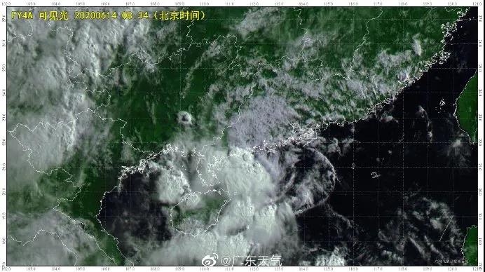 良種良法\臺(tái)風(fēng)來了，你的牛大力種植場準(zhǔn)備好了嗎？